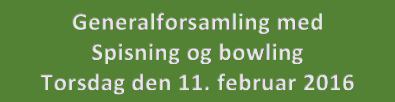 Generalforsamling 2016 i Seden Borgerforening