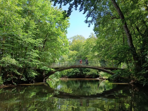Odense Å-fart (Foto: Seden Borgerforening)